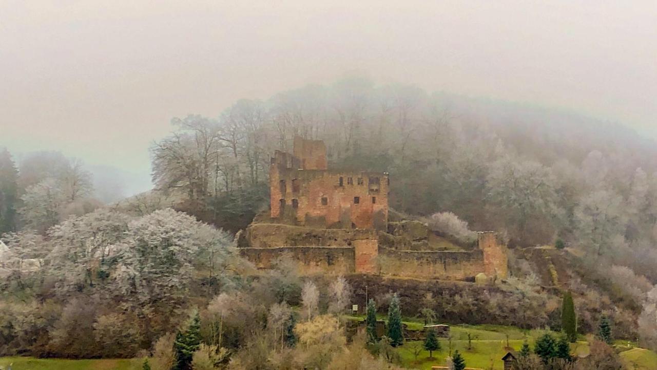 Burg Freienstein Blick 4 Sterne Mit Sauna Gammelsbach المظهر الخارجي الصورة